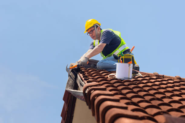 Best Cold Roofs  in Carnesville, GA